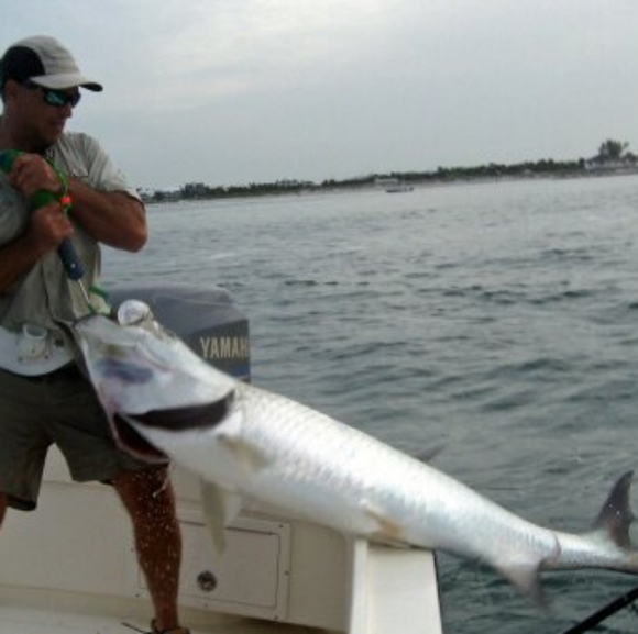 Meet your Posher, Glenn - Picture 3 of 6